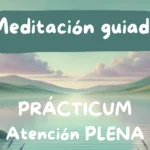 🌿 Meditación Guiada Mindfulness | Relajación y Claridad Mental